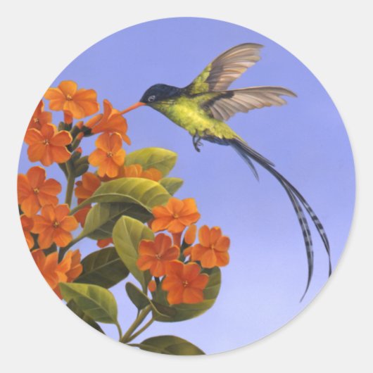 Sticker Rond Colibri (Devant)