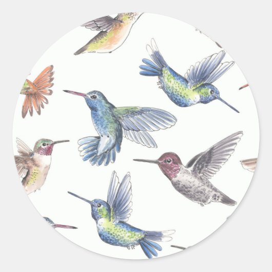 Sticker Rond Colibri (Devant)