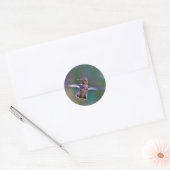 Sticker Rond Colibri (Enveloppe)