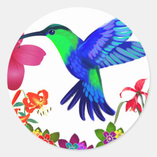 Sticker Rond Colibri au milieu de la beauté de la nature, Seren