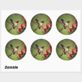 Sticker Rond Colibri Coloré (Feuille)