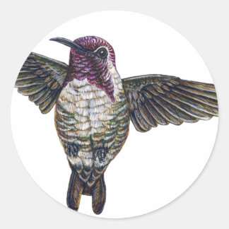 Sticker Rond Colibri de Costa