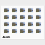 Sticker Rond Colibri en vol (Feuille)