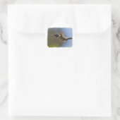 Sticker Rond Colibri en vol (Sac)
