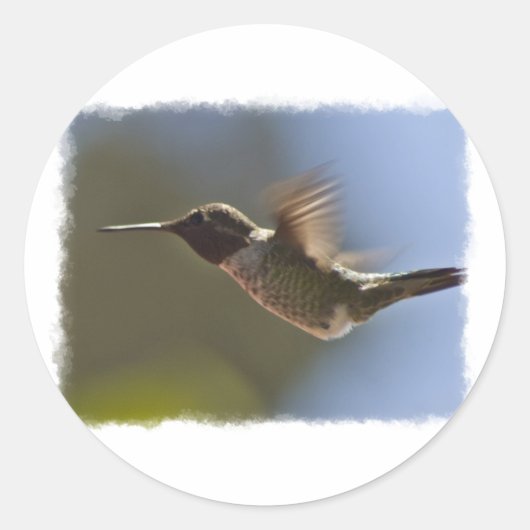 Sticker Rond Colibri en vol (Devant)