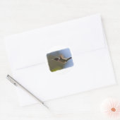 Sticker Rond Colibri en vol (Enveloppe)
