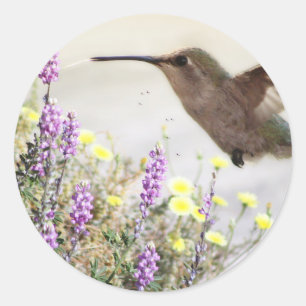 Sticker Rond Colibri et Art numérique Fleur sauvage