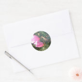 Sticker Rond Colibri et Rose de Sharon (Enveloppe)