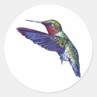 Colibri Ruby Throsé