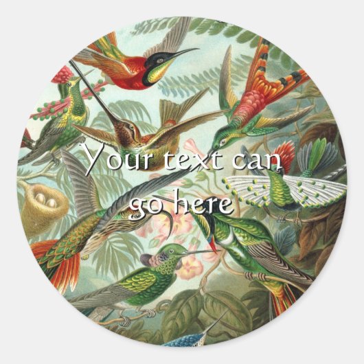 Sticker Rond Colibri vintage (Devant)