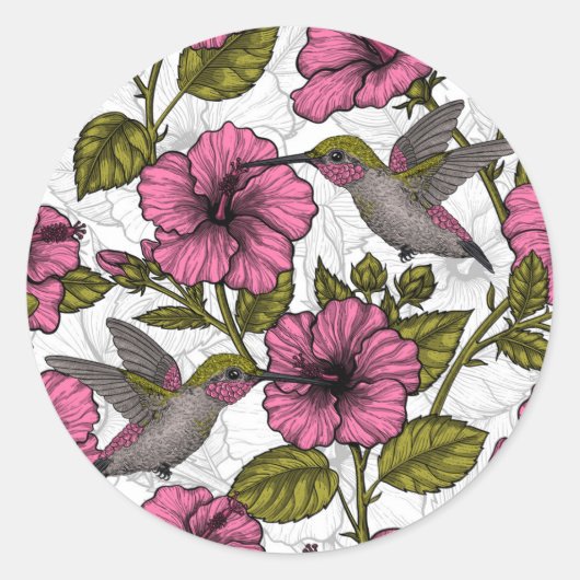 Sticker Rond Colibris et fleurs d'hibiscus roses (Devant)