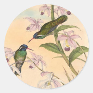 Sticker Rond Colibris et orchidées de Gould