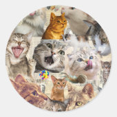 Sticker Rond Collage de chats et de jouets (Devant)