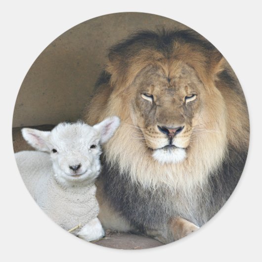 Sticker Rond collant lion et agneau (Devant)