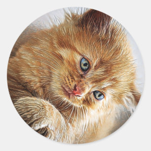 Sticker Rond Collection Cute Cat 