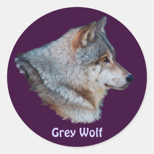 Sticker Rond Collection d'autocollants GRAY WOLF Wildlife (Devant)