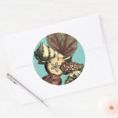 Sticker Rond Collection de coquillages turquoise et de coraux r (Enveloppe)