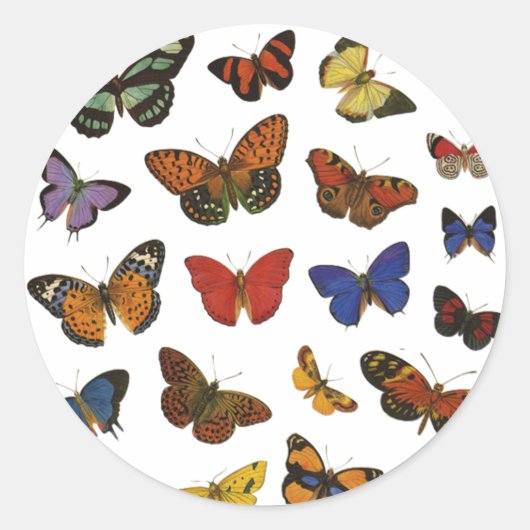 Sticker Rond Collection papillon (Devant)