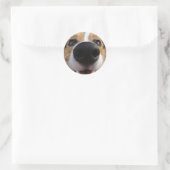 Sticker Rond Collection Welsh Corgi Chien Nose (Sac)