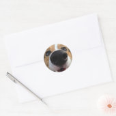 Sticker Rond Collection Welsh Corgi Chien Nose (Enveloppe)