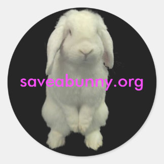 Sticker Rond Collez pour des lapins