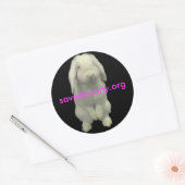 Sticker Rond Collez pour des lapins (Enveloppe)