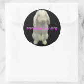 Sticker Rond Collez pour des lapins (Sac)
