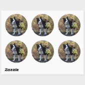 Sticker Rond collie bore (Feuille)