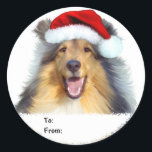 Sticker Rond Collie Christmas Père Noël Tags cadeaux<br><div class="desc">Happy Sable Collie portant un casquette du Père Noël rouge festif vous aidera,  ainsi que tous ceux qui le voient,  à entrer dans l'Esprit des Fêtes cette saison de Noël.</div>