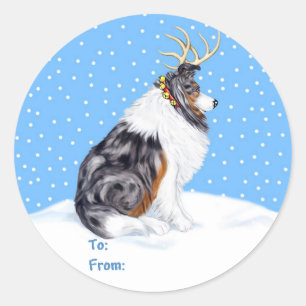 Sticker Rond Collie Christmas Reindeer Blue Merle Tags cadeaux
