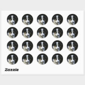 Sticker Rond Collie Collie Puppy vieille frontière de 12 semain (Feuille)