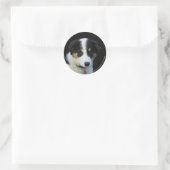 Sticker Rond Collie Collie Puppy vieille frontière de 12 semain (Sac)