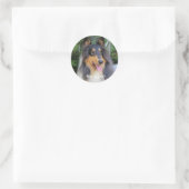 Sticker Rond Collie dog Best FRIENDS (Sac)