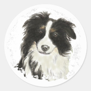 Sticker Rond Collie frontalier - Collection de chiens