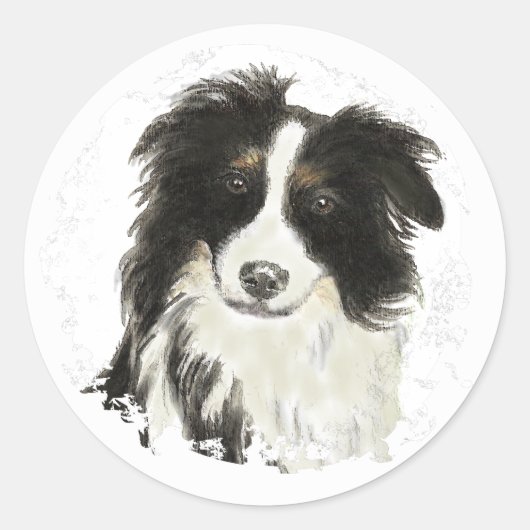 Sticker Rond Collie frontalier - Collection de chiens (Devant)