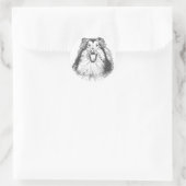 Sticker Rond Collie Head Study Art (Sac)