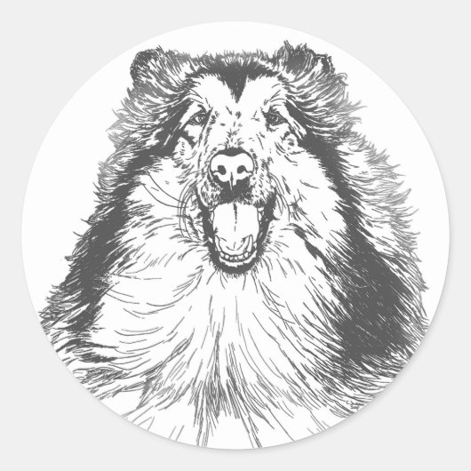 Sticker Rond Collie Head Study Art (Devant)