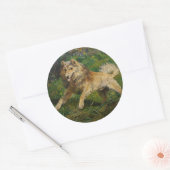 Sticker Rond Collie prend une grenouille par Hermine Biedermann (Enveloppe)