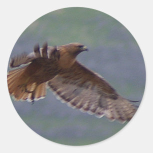 Sticker Rond Collier d'aigle doré