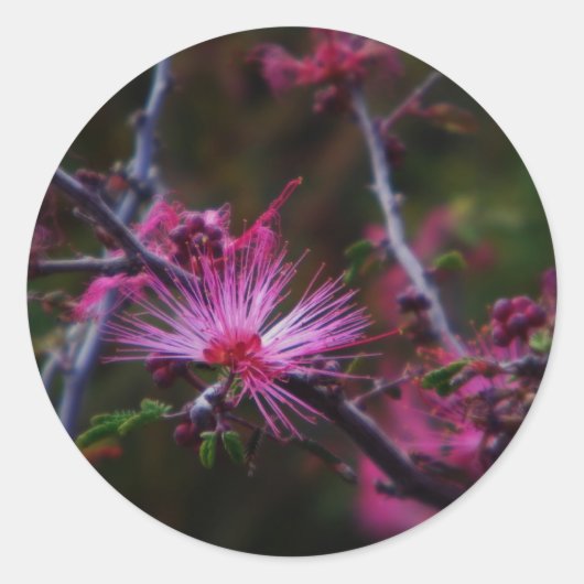 Sticker Rond collier de duster rose fairy (Devant)