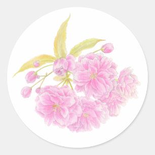 Sticker Rond Collier de fleurs de cerisier rose printanier