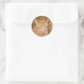 Sticker Rond Collier de fraise (Sac)