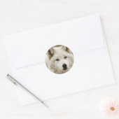 Sticker Rond Collier rond Loup blanc (Enveloppe)