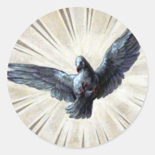 Sticker Rond colombe