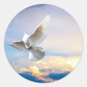 Sticker Rond colombe blanche en vol
