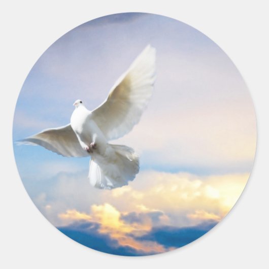 Sticker Rond colombe blanche en vol (Devant)