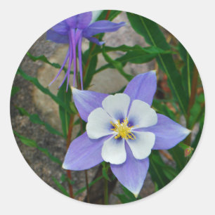 Sticker Rond Colonne bleue
