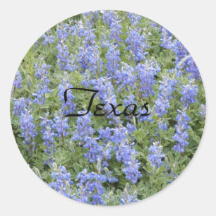 Sticker Rond Colonne texane bluebonnet