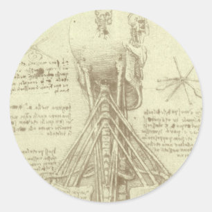Sticker Rond Colonne vertébrale de l'anatomie humaine de Léonar