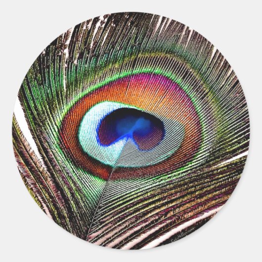 Sticker Rond Colorful Copper Peacock Feather (Devant)